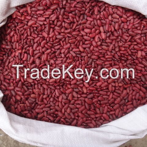  Premium Quality Natural Bulk Red Kidney Beans for sale