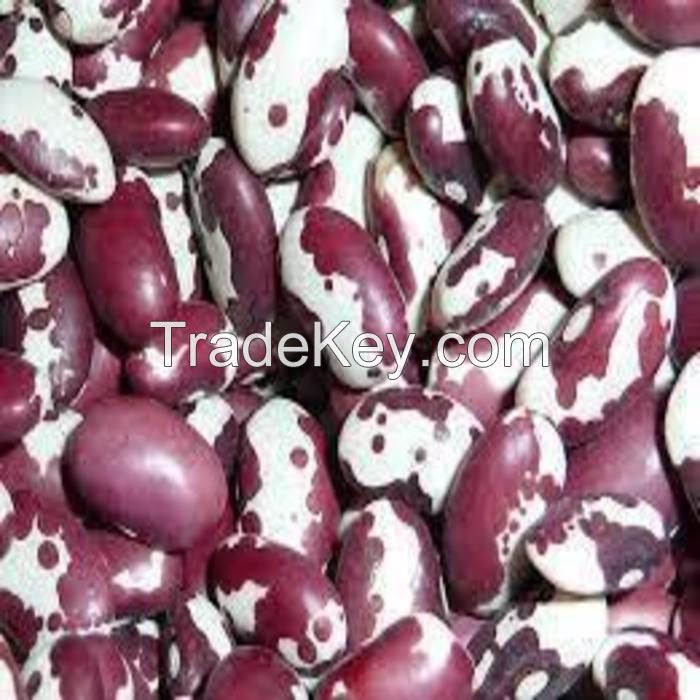 Dried Anasazi Beans