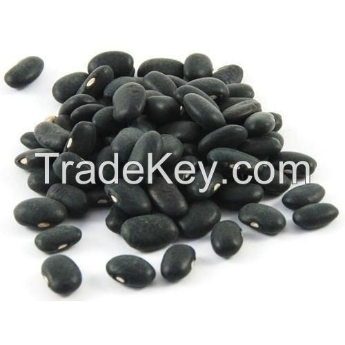 Wholesale Sugar Beans , Red Kidney Beans,Light Speckled,Black kidney beans