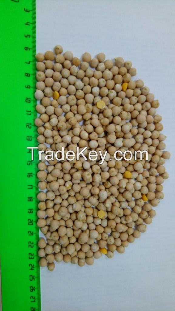 Chickpeas BULK