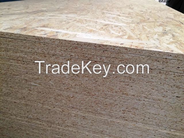High Density WBP Glue 18mm OSB Plywood For Furniture