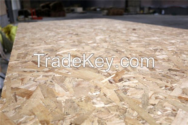 Best prices factory dircetly professional 1220x2440mm 11mm osb board i