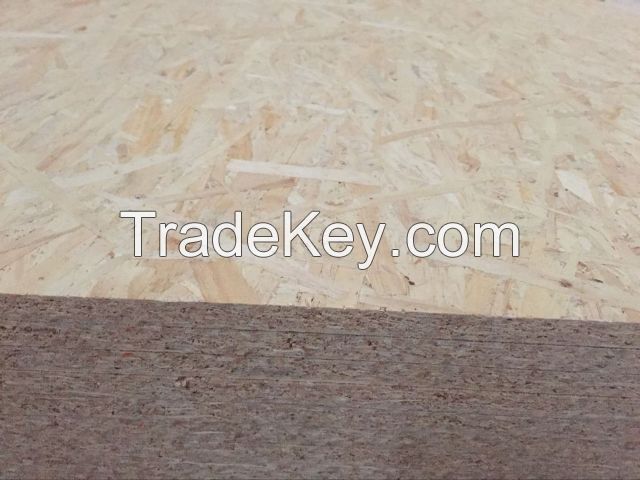 special cheap osb board price with high quality and different sizes fr