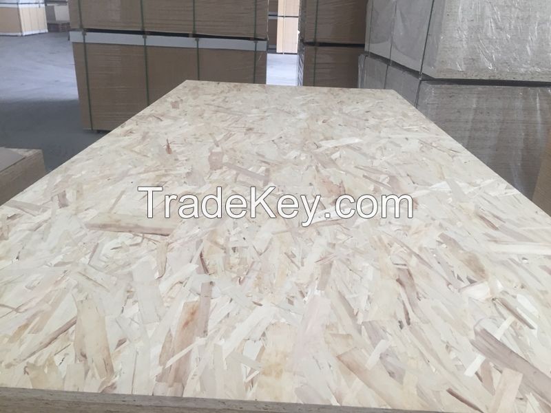 Waterproof Glue Marine OSB 6-25mm Cheap Plywood For Sale