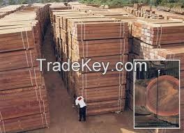 Timber Solid Wood Boards Wood (Azobe,Bobinga,Camwood,Iroko,Sapelite Eboney) for Sale