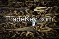 stockfish, cod fish, dried stockfish, fish