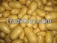 Fresh Irish Potatoes