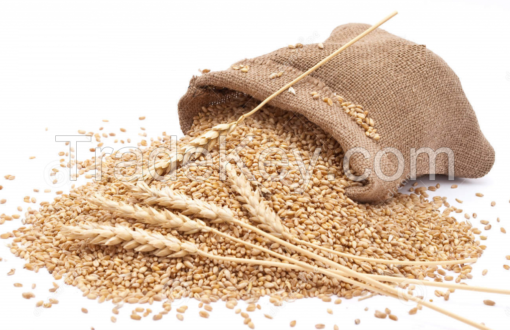 Wheat groats Ukrainian specs