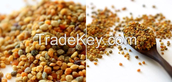 100% Natural Bulgarian Pure Bee Pollen High Quality
