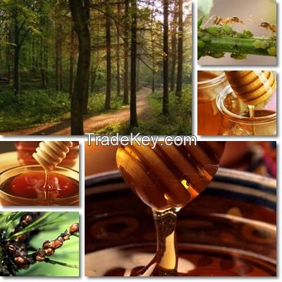 100% Natural Pure Honeydew ( Forest ) Honey from Bulgaria Ecological Regions High Quality