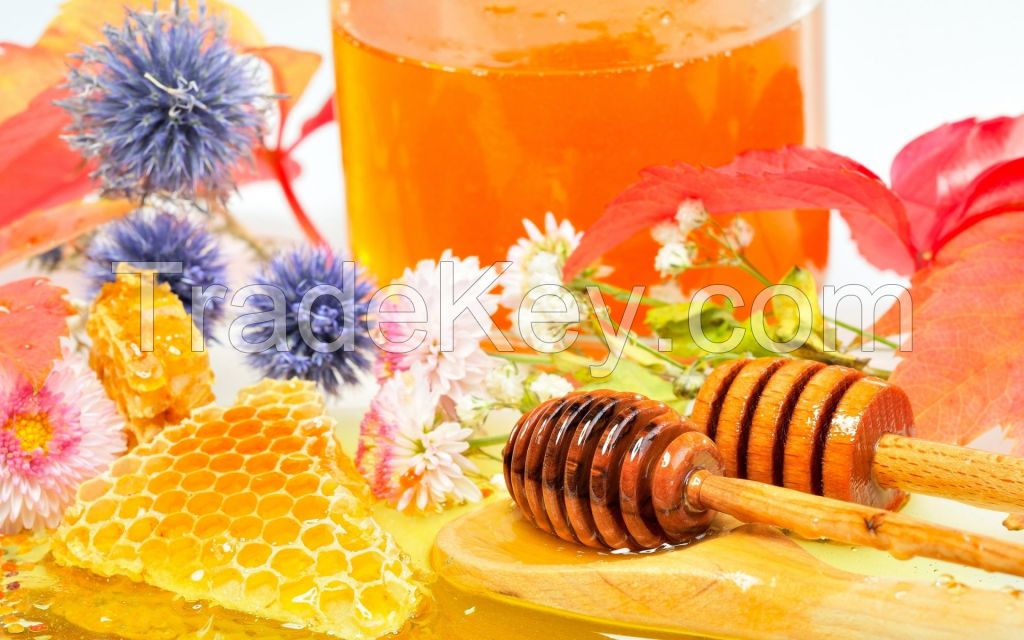 100% Natural Pure Herbal Honey from Bulgaria Ecological Regions High Quality
