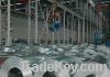 galvanized steel coils/sheets