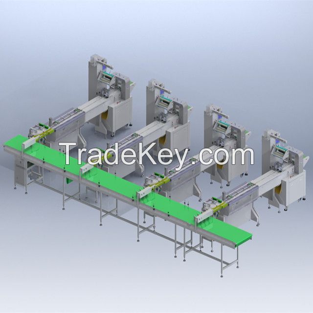 automatic packaging machine line