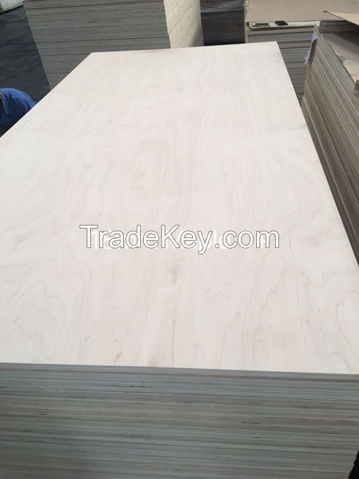 MAPLE PLYWOOD