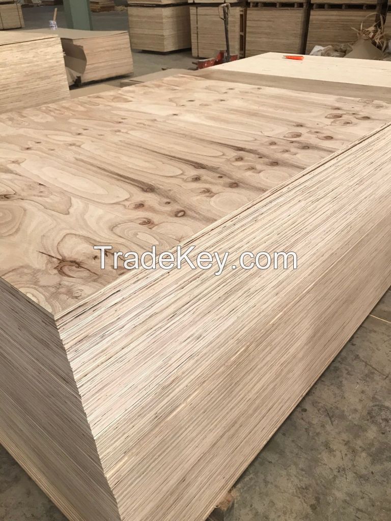 MATT PLYWOOD