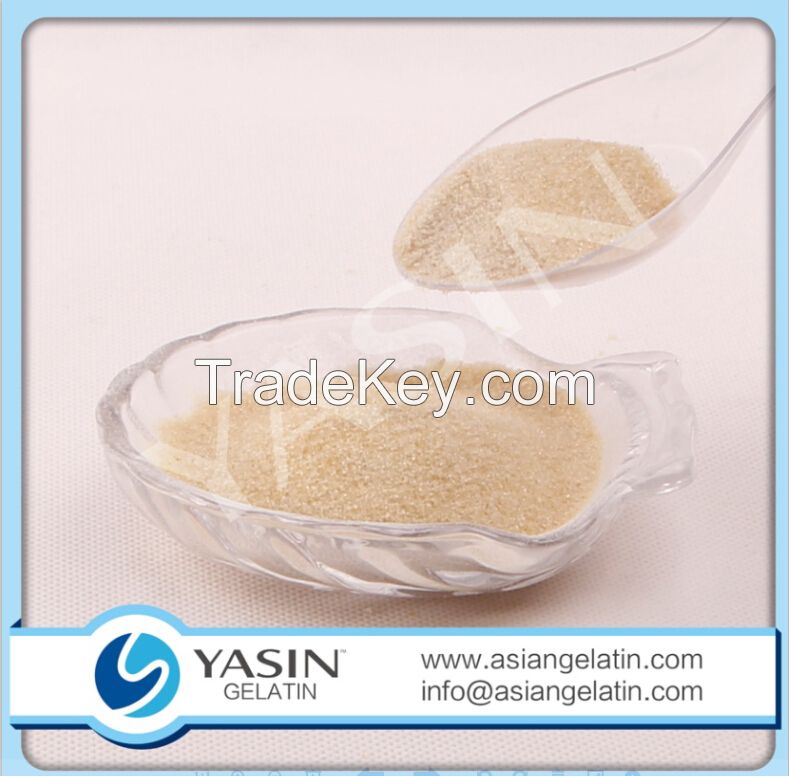 Food Grade Bovine Gelatin Powder 