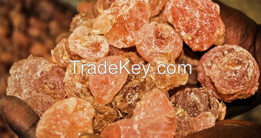 Gum Arabic, Gam Arab, Gum Arabicum, Natural Arabic Gum