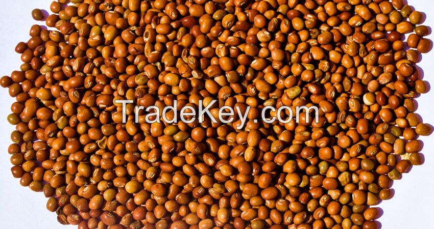 Dried Red Pigeon Peas