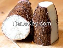 cassava