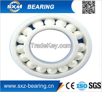 ceramic deep groove ball bearing 6000CE