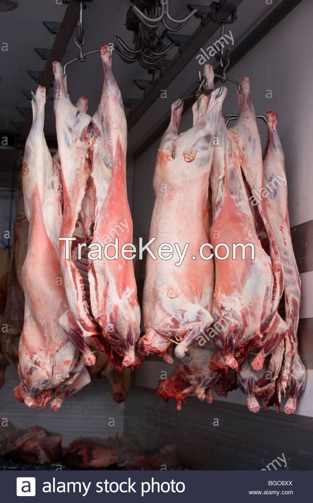 Lamb carcasses