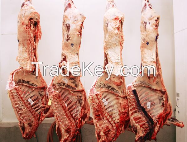 Beef Carcasses.