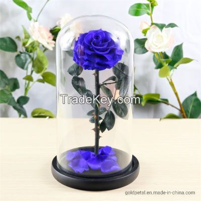 Preserved Rose Flower Box The Big Prince for Beautiful Gifts