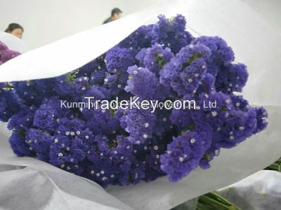 Hot Sell Wonderful Fresh Cut Flowers Purple Statice