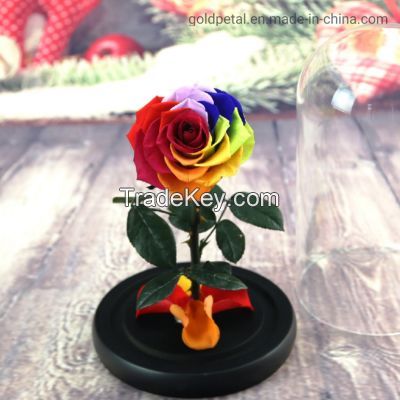 Preserved Rose Flower The Little Prince for Lasting Decoration