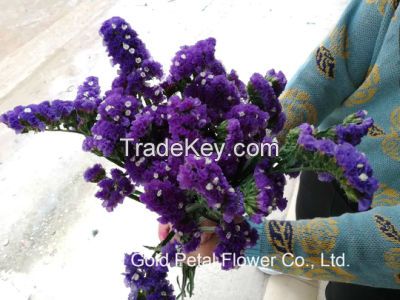 Hot Sell Wonderful Fresh Cut Flowers Purple Statice