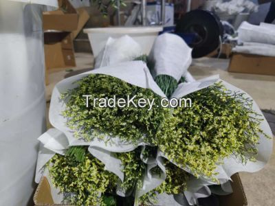 Salable High Quality Fresh Cut Flower Limonium for Wholesale and Decoration