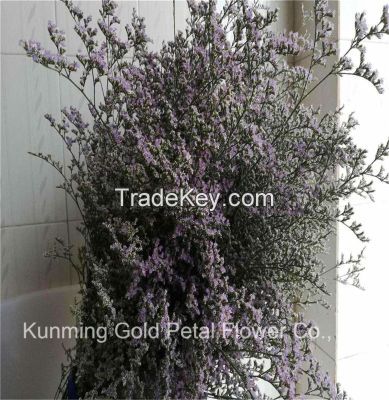 Romantic Natural Fresh Cut Flowers Purple Limonium