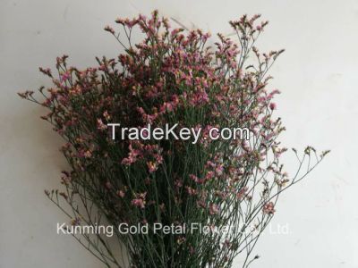 Salable High Quality Fresh Cut Flower Limonium for Wholesale and Decoration