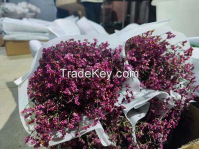 Salable High Quality Fresh Cut Flower Limonium for Wholesale and Decoration