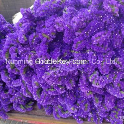 Hot Sell Wonderful Fresh Cut Flowers Purple Statice