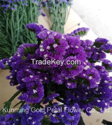 Hot Sell Wonderful Fresh Cut Flowers Purple Statice