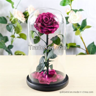 Preserved Rose Flower Box The Big Prince for Beautiful Gifts