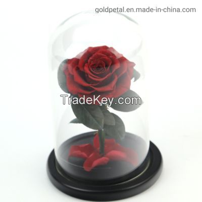 Preserved Rose Flower The Little Prince for Lasting Decoration