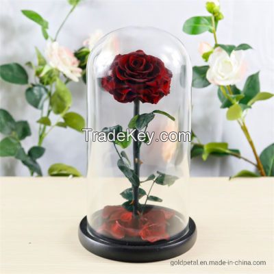 Preserved Rose Flower Box The Big Prince for Beautiful Gifts