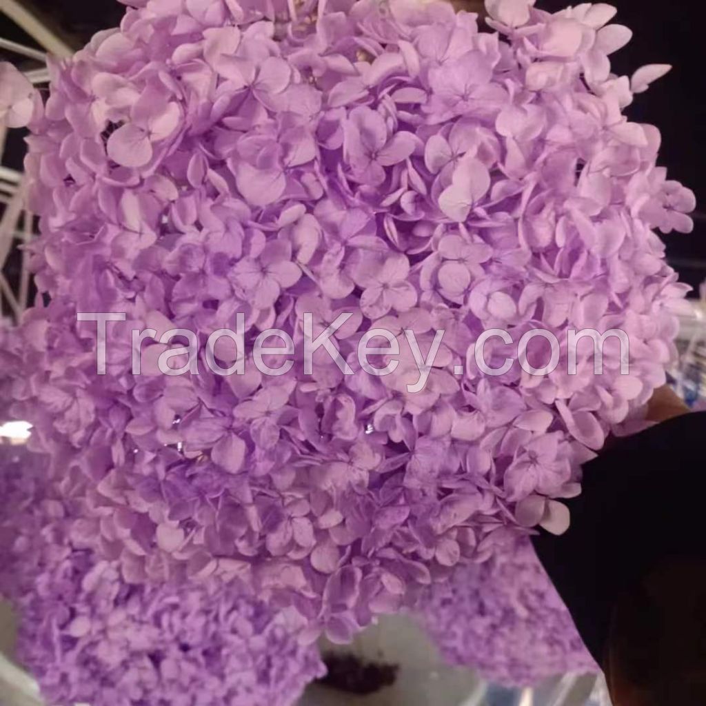 Factory Price Ornamentalfresh Cut Flower Red Hydrangea Decoration