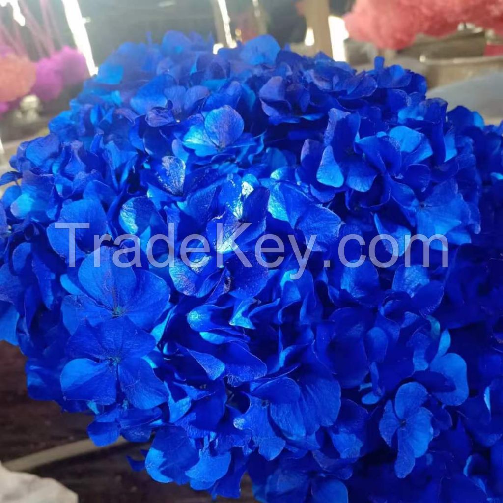 Factory Price Ornamentalfresh Cut Flower Red Hydrangea Decoration