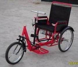 Self-driven Tricycle