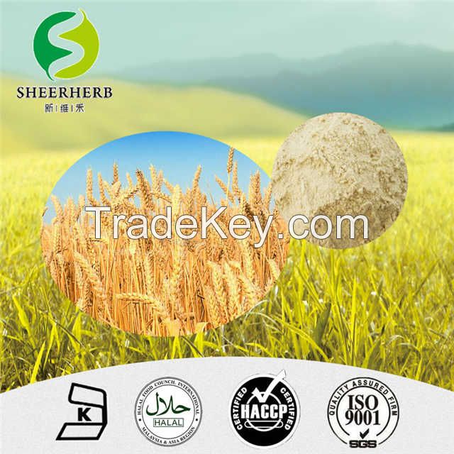 Organic Wheat Protein Extract Hydrolyzed Wheat Protein High Quality hydrolyzed