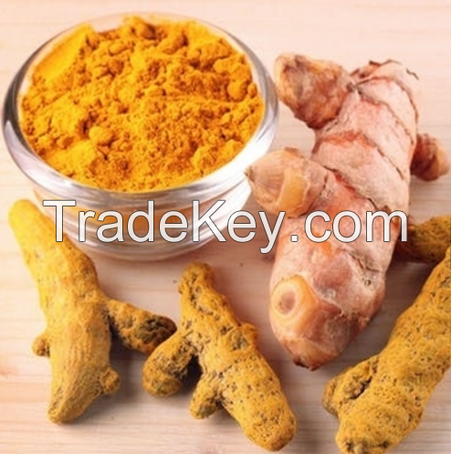 Turmeric (Fresh, Dried Finger, Dried Slices and Powder)