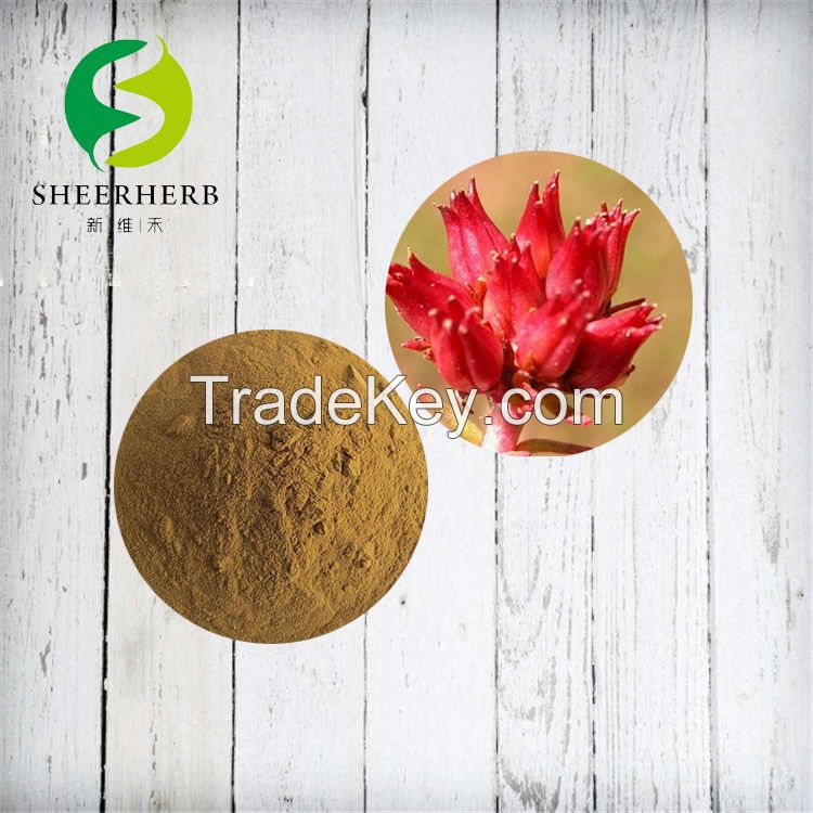 100% Nature Rhodiola Rosea Extract / Rhodiola Rosea Root Extract Powder