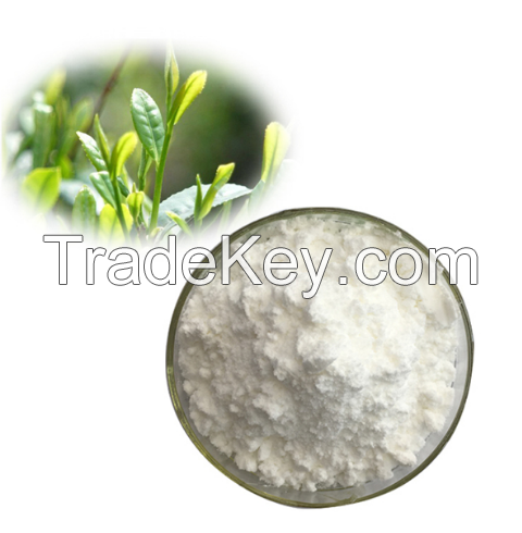 Vine Tea Extract 98% Dihydromyricetin Powder