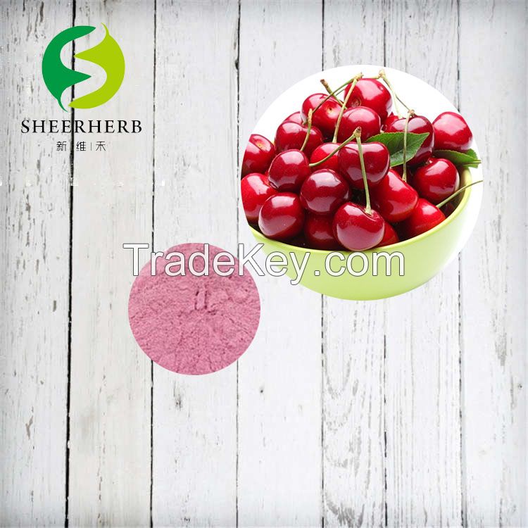 Free samples organic cranberry juice powder/cranberry fruit dry extract 25%