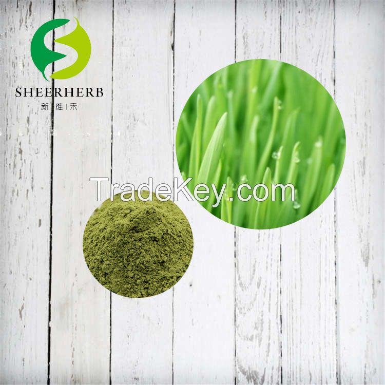 Barley grass powder