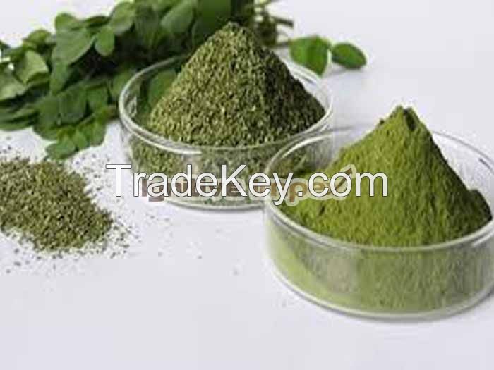 Moringa powder