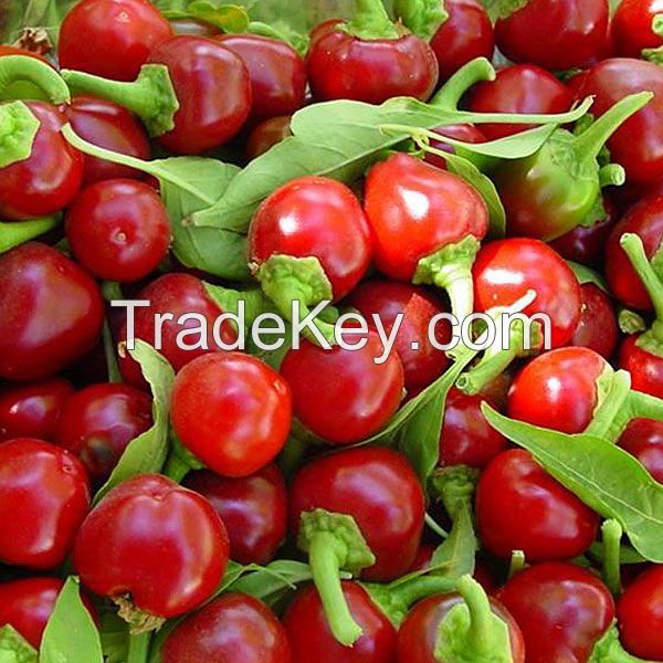 &quot;Cherry Pepper Hot&quot; Dried Red Chilli